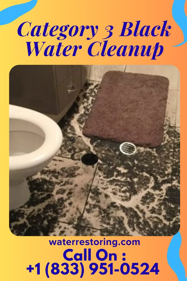 Category 3 Black Water Cleanup in Salem, KY